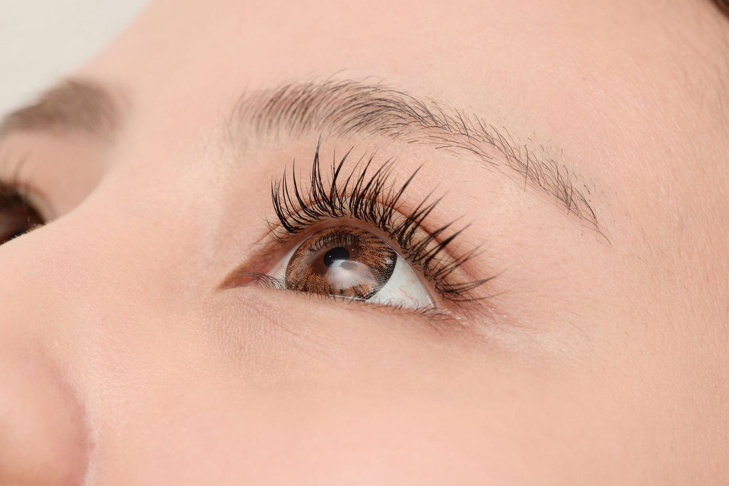 Heated Eyelash Curler
